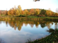 rybník nad Vojkovem