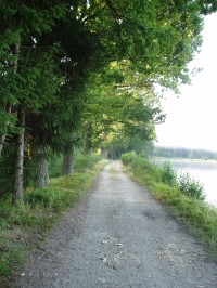 Po hrázi Svobodného rybníku probíhá lesní příhraniční cesta spojující  Medenici s Novou Hutí