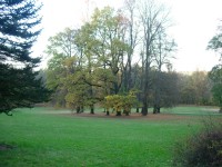 park zámku