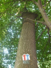 Turistické značení do cíle: Na krásné vyhlídce;)- člověk neví, zda-li má jít rovně, či vylézt na strom odkud bude krásný výhled :)