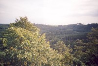 lesy v okolí ( foceno z věže vikštejna )