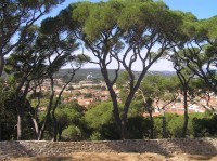 Pohled z citadely