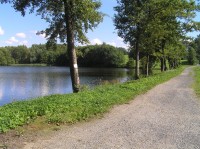 Po žluté ze Štítů kolem rybníka do Horních Studének.