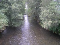 Řeka Morava u Bohutína