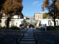 Nemocnice sv. Ludvíka v Paříži - Hôpital Saint-Louis