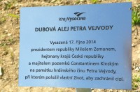 Detail desky u Dubové aleje Petra Vejvody