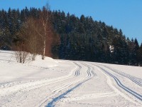 Za Šibenicí - foto V. Srnský