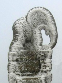 Slon v prosinci 2006