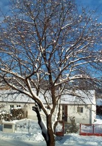Veselí nad Lužnicí: zimička za oknem