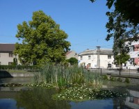 Bohuňovice: Vodní nádrž s lekníny i rybami