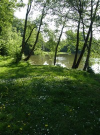 Tichá rekreační oblast u rybníka asi 300 m od tvrze.