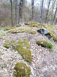 Z Borku do Borku přes Markvart,  Panskou skálu a Obětní kameny