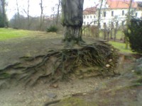 Břevnovský klášter - zahrada