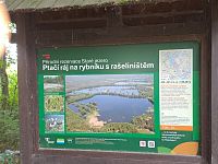 Z Majdaleny po hrázích rybníků do Třeboně