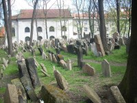 Starý Židovský hřbitov