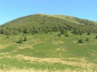 Stohové sedlo - úbočí Stohu a nejvýší patro Šútovské doliny pod sedlem(srpen 2011)