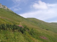 Kopiská - pohled od rozcestí k vrcholu Hromové (srpen 2010)