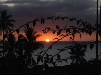 ostrov Tanna: kouzelná příroda ozářená západem slunce s palmami v pozadí. To nemá chybu