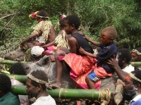 Vanuatu: Při svatbě nesli domorodci prase na porážku. Prasata se porážejí při obřízkách, při různých ceremoniálech a několikadenních tancích Toka-toka