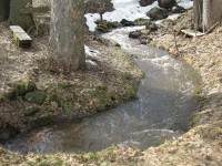 potok, který teče z Bečkova