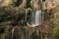 Bečkovský vodopád - vývěr ze skály a 1. stupeň