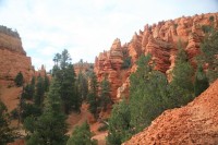 Red canyon