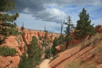 Bryce canyon