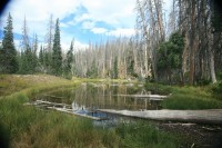 Alpine Pond