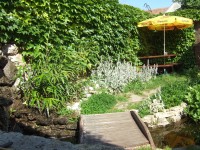 zahrada s jezírkem