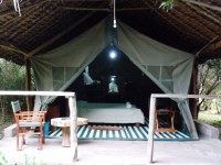 Enchoro Wildlife Camp Masai Mara Kenya - Relax in style & Comfort…