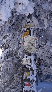 Parádní okružní trasa přes Kralický Sněžník