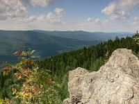 Výhled z Medvědího kamene na Rychlebské hory