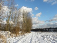 Cesta z Chodova do Jenišova - 14.1.2012