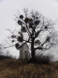 Švédská kaple - 1.1.2012