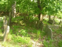 Židovský hřbitov - 9.5.2009