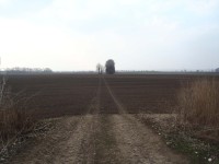 přejezd přes pole ke křížku u Prace - 23.3.2012