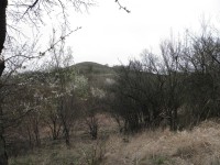 Přírodní památka Horka - hlavní pahorek při pohledu z úpatí jižního pahorku - 6.4.2012