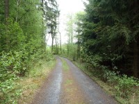 Lesní cesta ke Kadolecké studánce - 6.5.2012