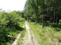 Lesní cesta Klánovickým lesem - 15.6.2012
