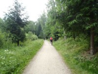 Lesní cesta od Stříbrného rybníka k rozcestí U Svinar - 17.6.2012