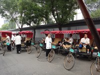 Peking na stanovišti rikš