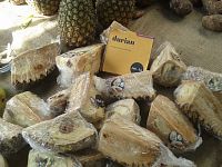 snradlavý durian