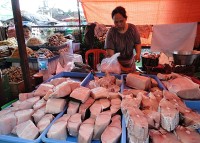 prodejce ryb