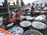 prodej ryb