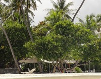 Maledivy Kuda Bandos, jsou tady pokoje pro turisty  