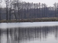 Rychvald rybník Skučák