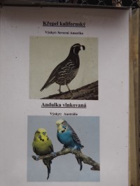Bohumín park popisky k ptákům