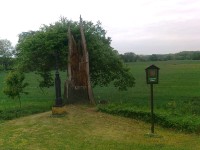 památný strom - dub se železným křížkem