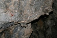 jeskyně Hladomorna