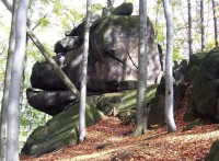Kamenosochařská práce přírody (Gorila z profilu)